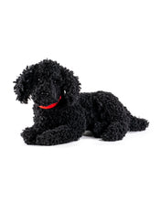 Load image into Gallery viewer, Doodle Best Friend, Black