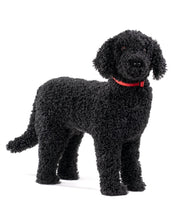 Load image into Gallery viewer, Doodle Footrest Black