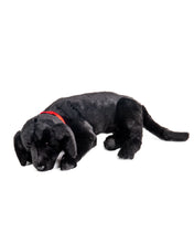 Load image into Gallery viewer, Black Lab - Lap Dog 26"