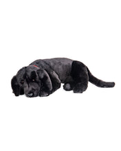 Load image into Gallery viewer, Black Lab - Lap Dog 26"