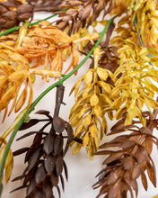 Load image into Gallery viewer, Hanging Vine: Autumn Hops (1 vine)