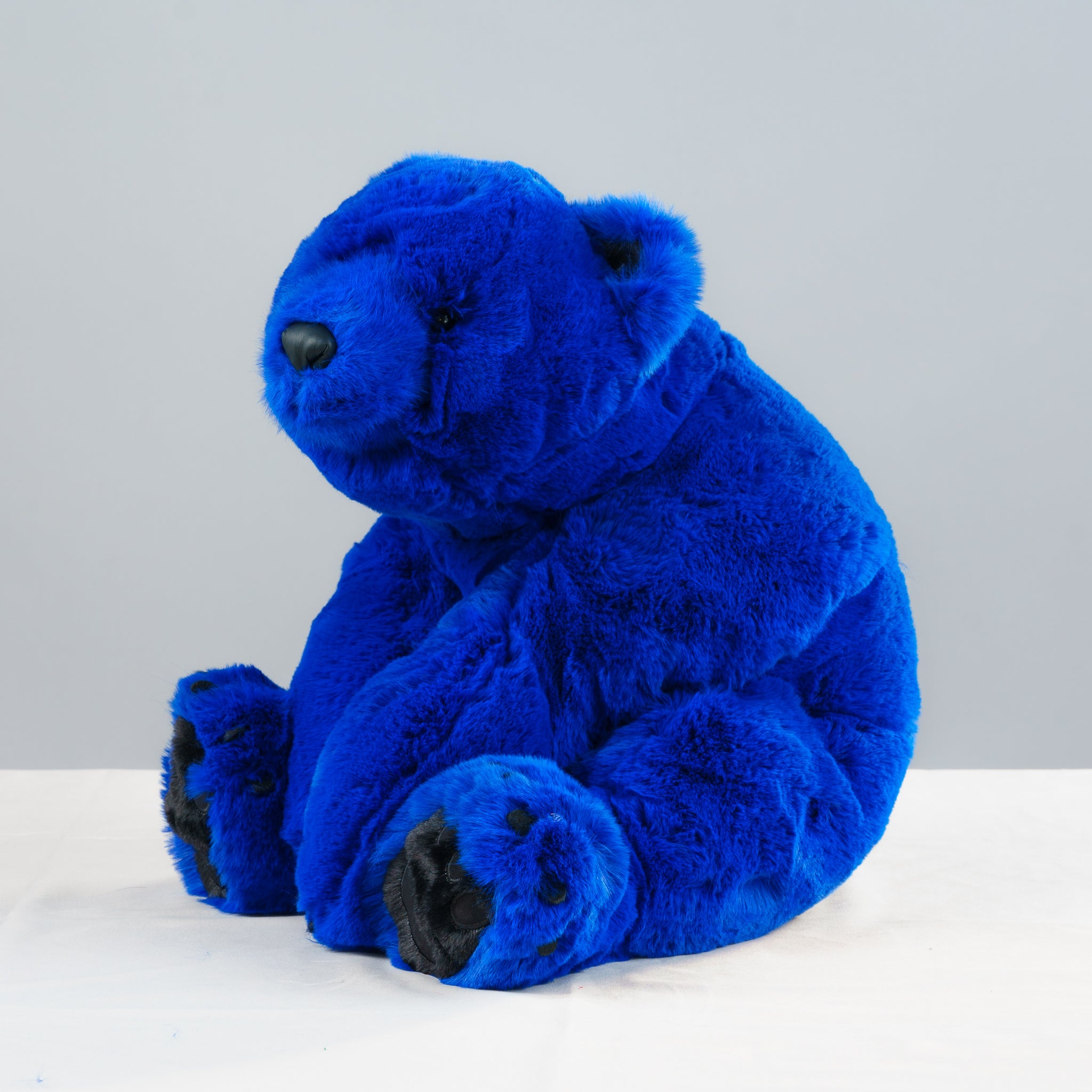 Sapphire Bear Hug 26
