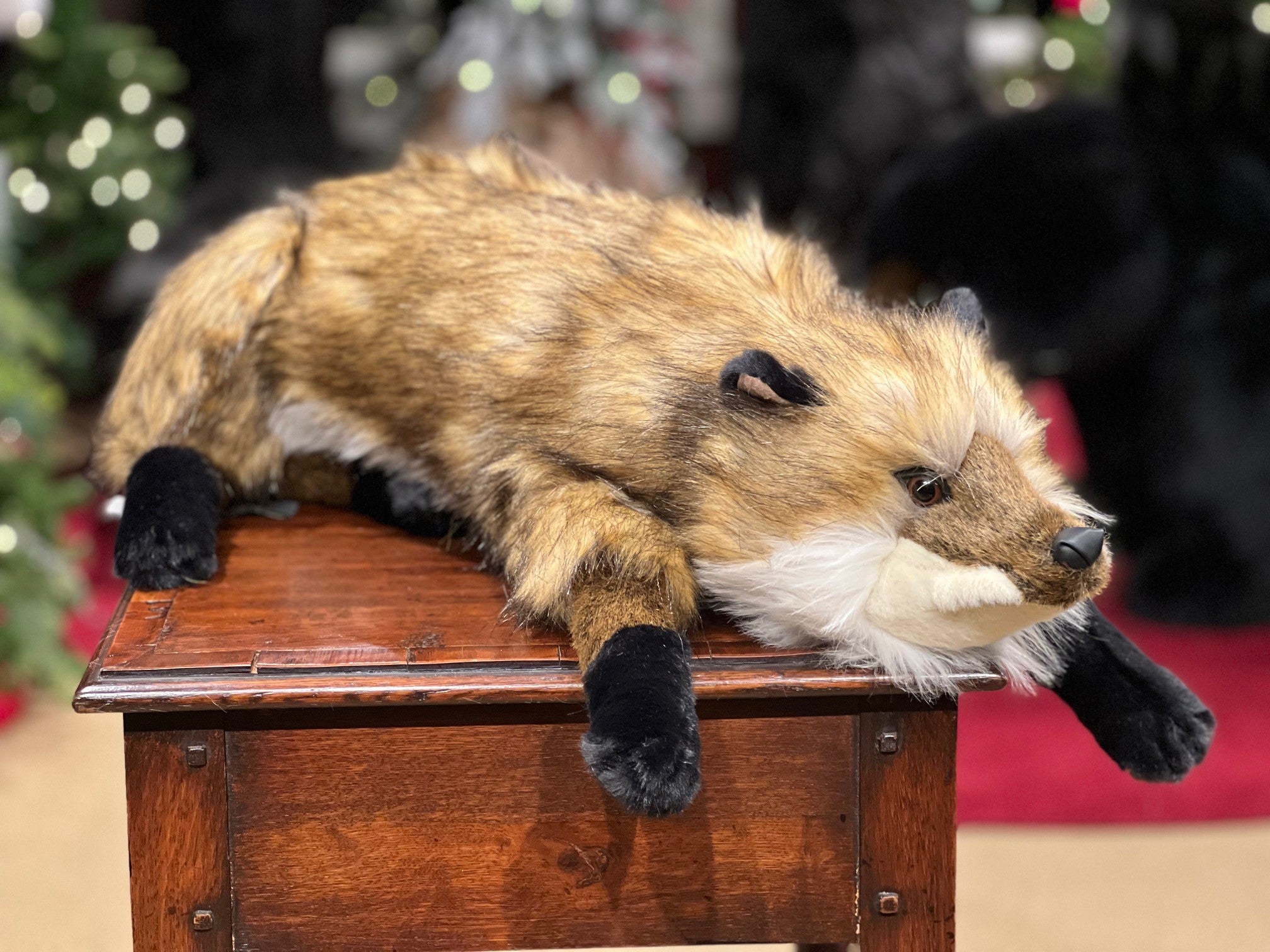 Red Fox Hug – Ditz Direct