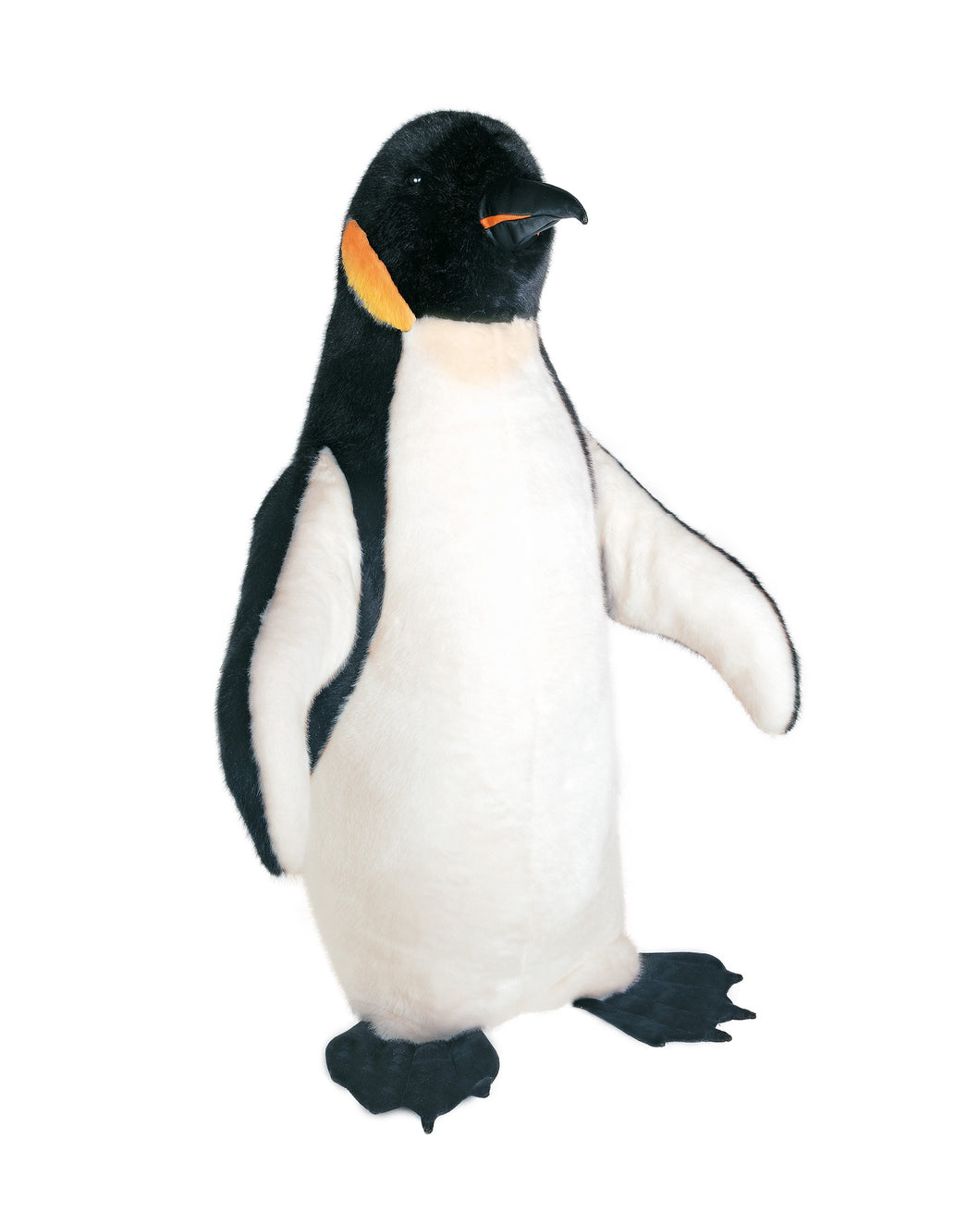 Emperor Penguin, Standing 40