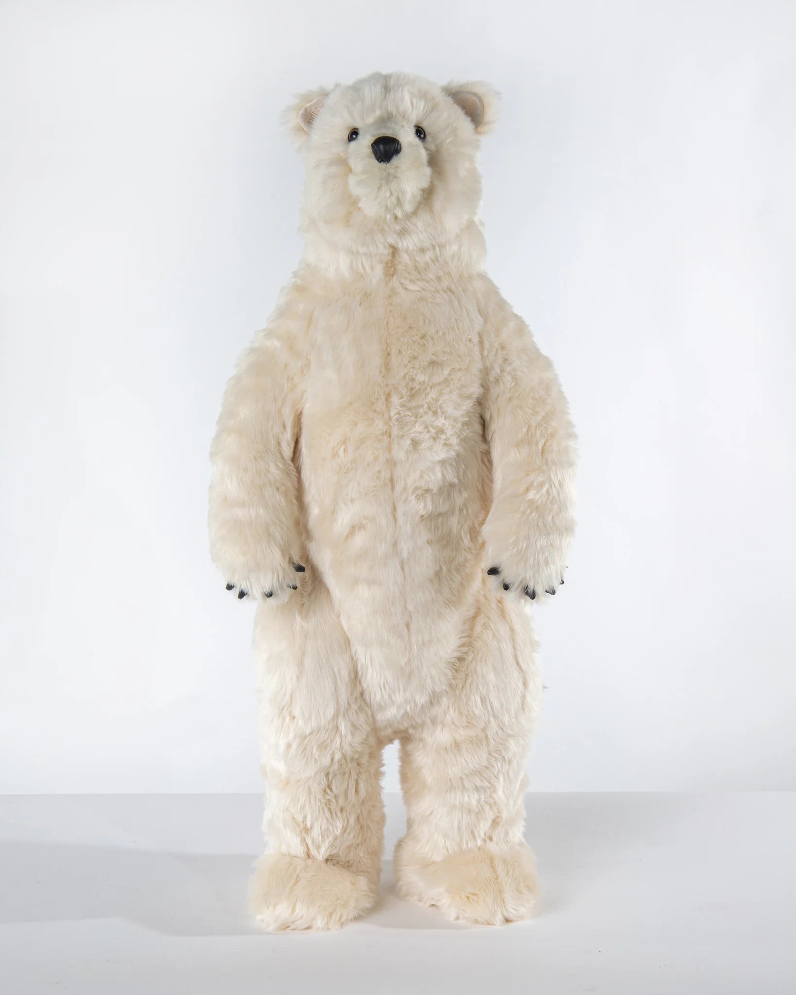 Standing Polar Bear 36