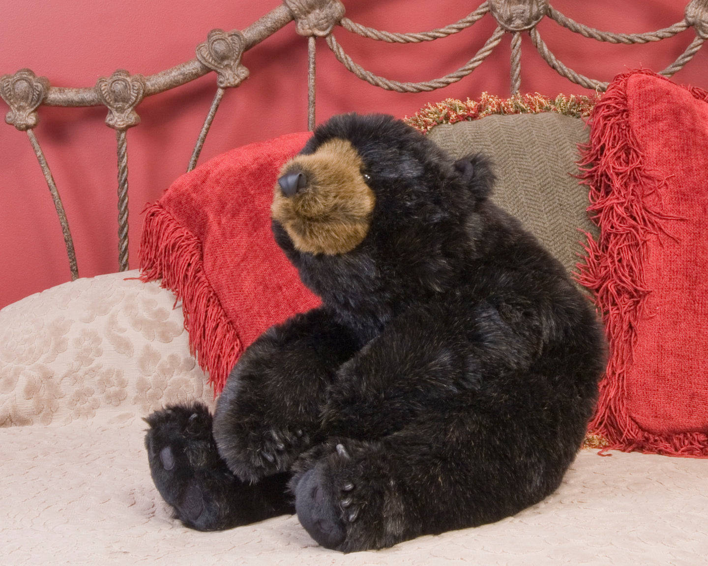 Black Bear Hug 26