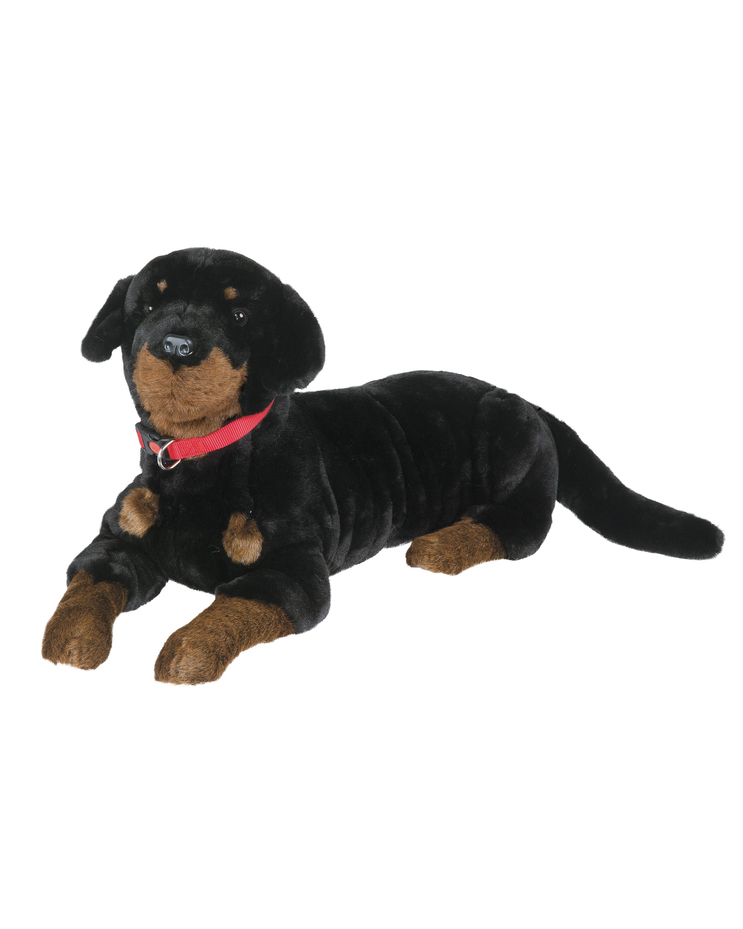 Rottweiler - Best Friend 34