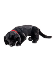 Load image into Gallery viewer, Black Lab - Lap Dog 26&quot;
