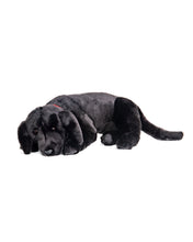Load image into Gallery viewer, Black Lab - Lap Dog 26&quot;
