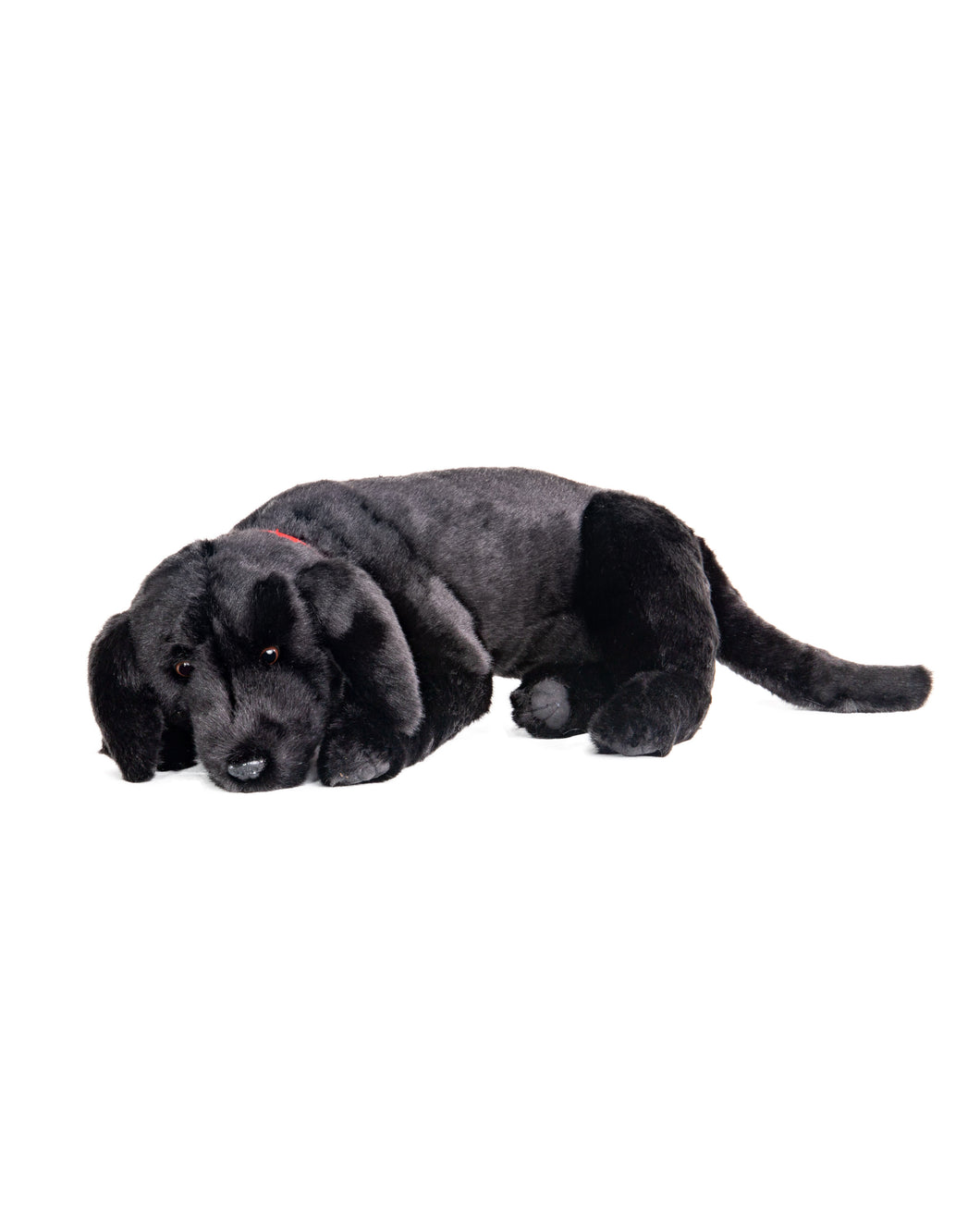 Black Lab - Lap Dog 26