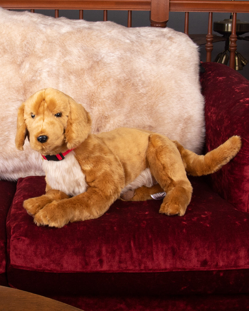 Golden Retriever - Best Friend 26