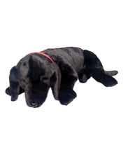 Load image into Gallery viewer, Black Lab - Lap Dog 34&quot;
