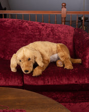 Load image into Gallery viewer, Golden Retriever - Lap Dog 34&quot;
