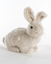 Load image into Gallery viewer, Soft Dove Rabbit Hug
