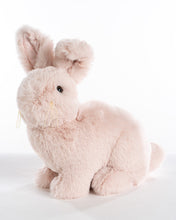 Load image into Gallery viewer, Soft Pink Rabbit Hug
