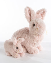 Load image into Gallery viewer, Soft Pink Rabbit Hug
