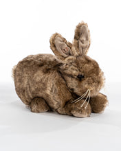 Load image into Gallery viewer, Natural Brown Baby Bunny
