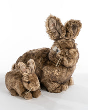 Load image into Gallery viewer, Natural Brown Baby Bunny
