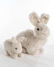 Load image into Gallery viewer, Soft Dove Baby Bunny
