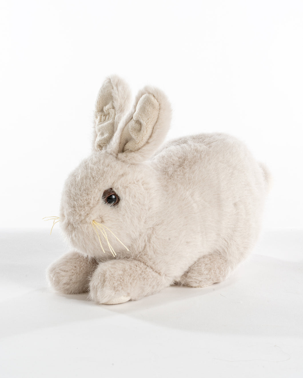 Soft Dove Baby Bunny