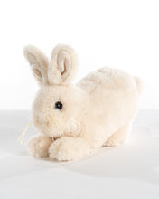 Load image into Gallery viewer, Vanilla Cream Baby Bunny
