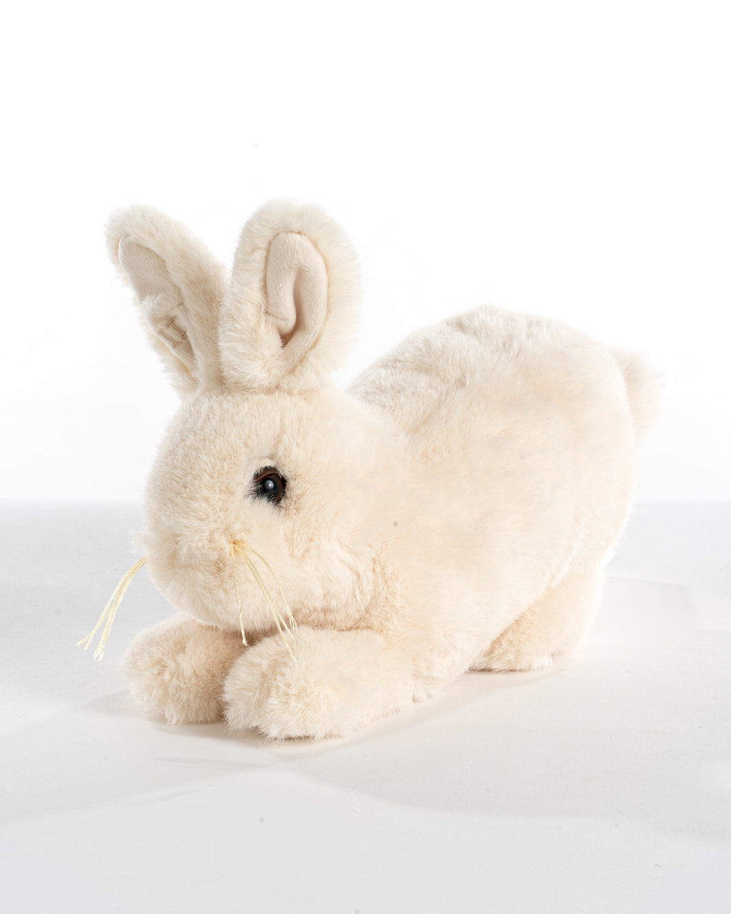 Vanilla Cream Baby Bunny