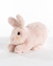 Load image into Gallery viewer, Soft Pink Baby Bunny
