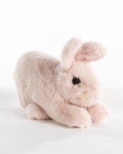 Load image into Gallery viewer, Soft Pink Baby Bunny
