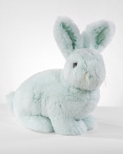 Load image into Gallery viewer, Seafoam Rabbit Hug
