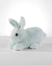 Load image into Gallery viewer, Seafoam Baby Bunny
