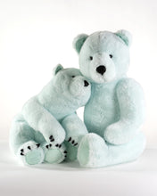 Load image into Gallery viewer, Seafoam Bear Hug 18&quot;
