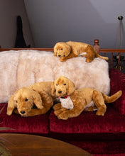 Load image into Gallery viewer, Golden Retriever - Lap Dog 26&quot;
