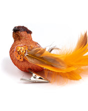 Load image into Gallery viewer, Orange Bird Case (12 Birds)
