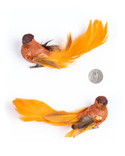 Load image into Gallery viewer, Orange Bird (pair)
