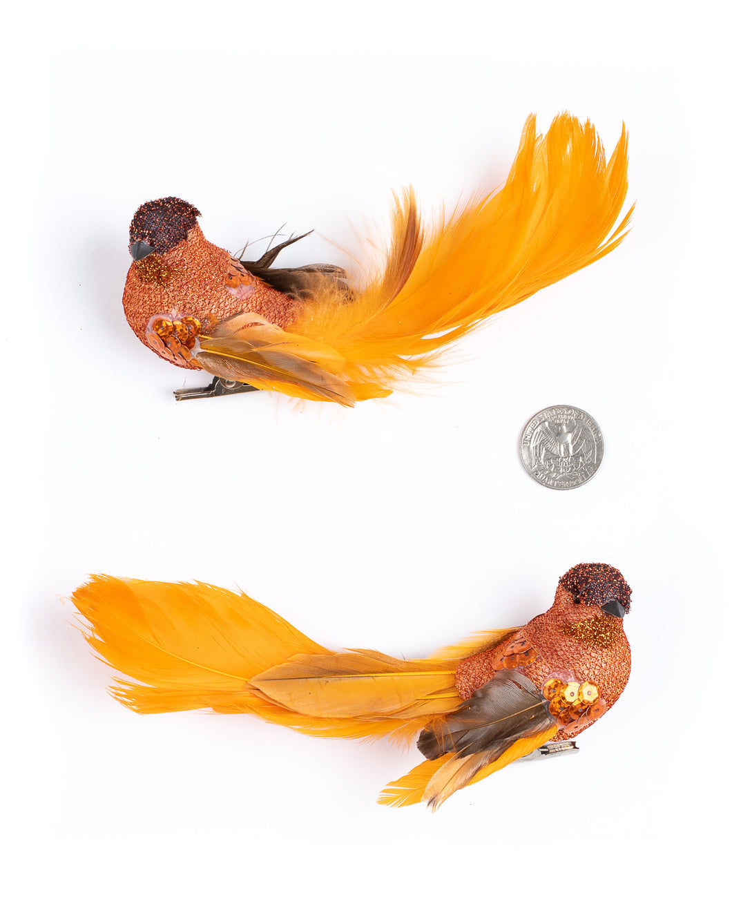 Orange Bird (pair)