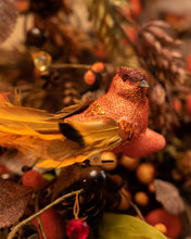 Load image into Gallery viewer, Orange Bird Case (12 Birds)
