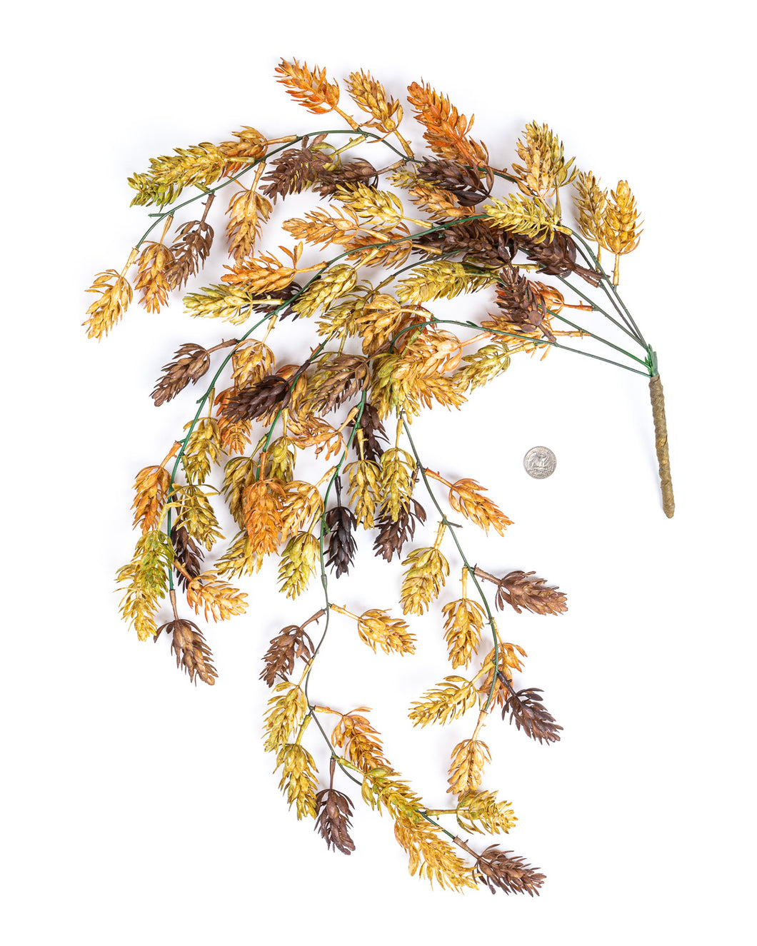 Hanging Vine: Autumn Hops (1 vine)